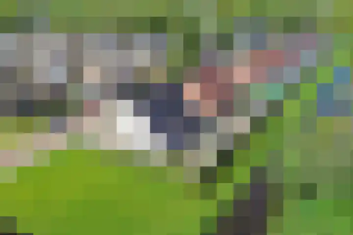 De Vlecke 40 Gorredijk thumbnail 38