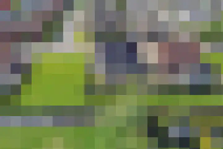 De Vlecke 40 Gorredijk thumbnail 39