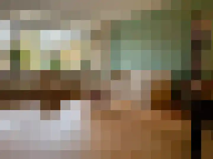 De Vlecke 40 Gorredijk thumbnail 41