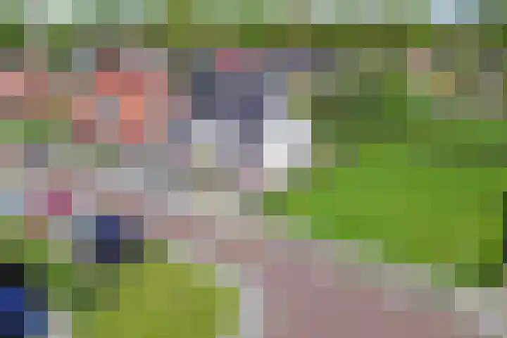De Vlecke 40 Gorredijk thumbnail 44