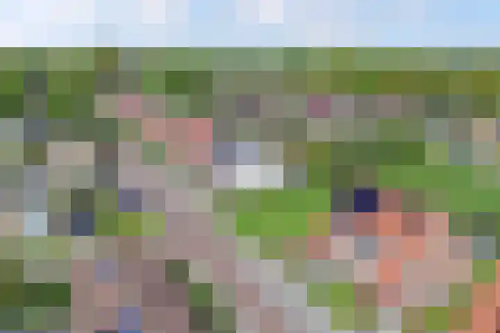 De Vlecke 40 Gorredijk thumbnail 45