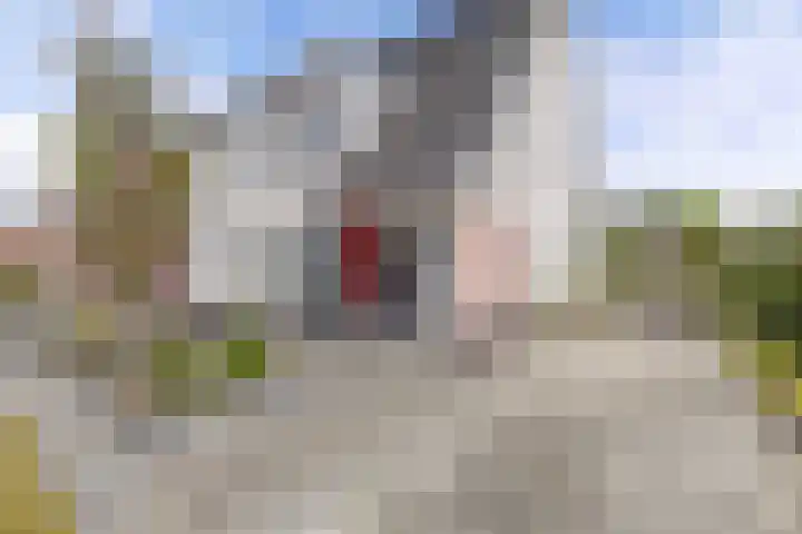 De Vlecke 40 Gorredijk thumbnail 47