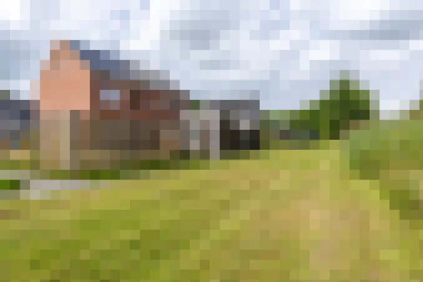 De Vlecke 68 Gorredijk thumbnail 13