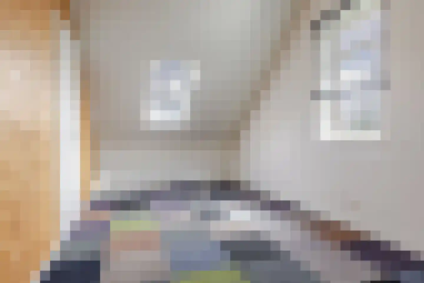 De Vlecke 68 Gorredijk thumbnail 37