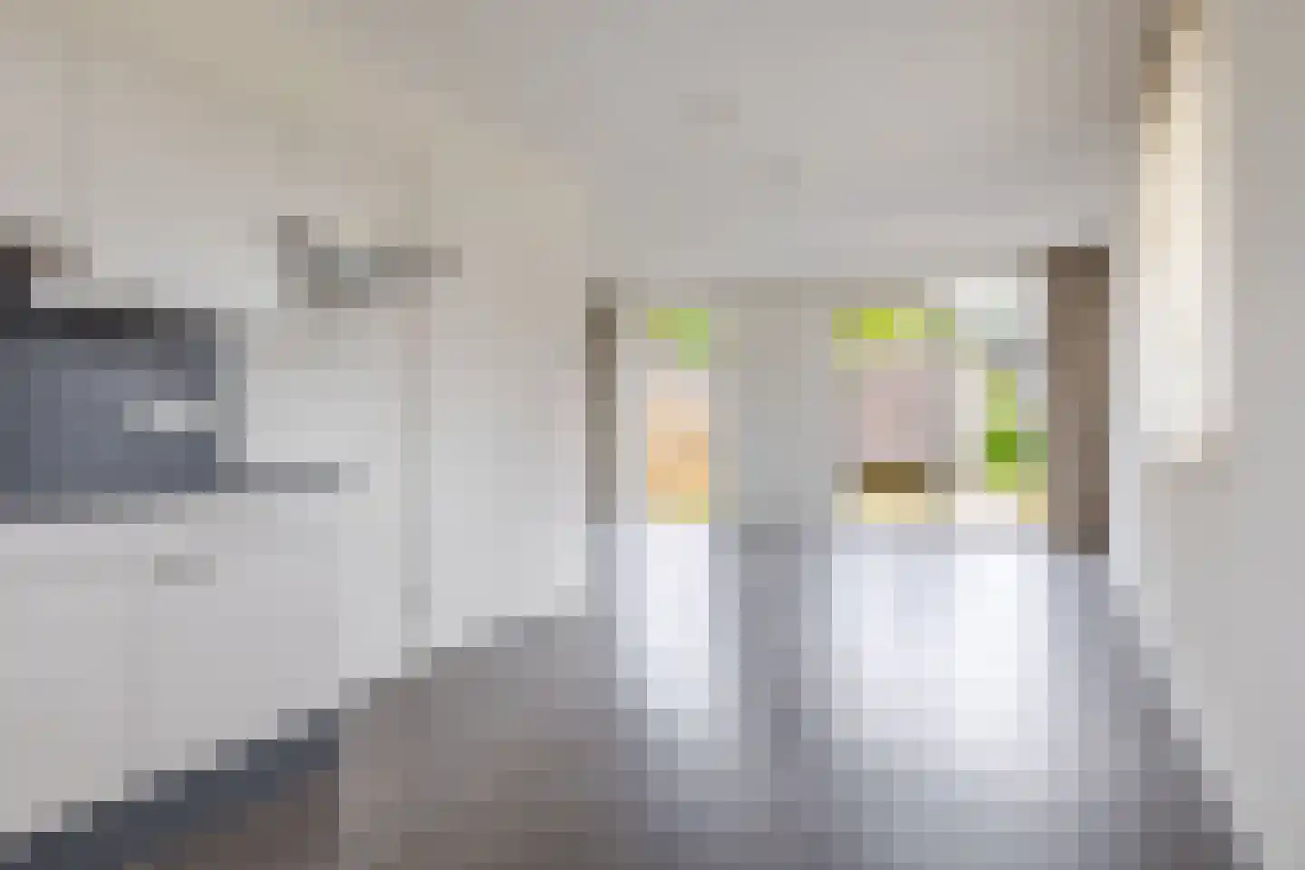 De Vlecke 68 Gorredijk thumbnail 4