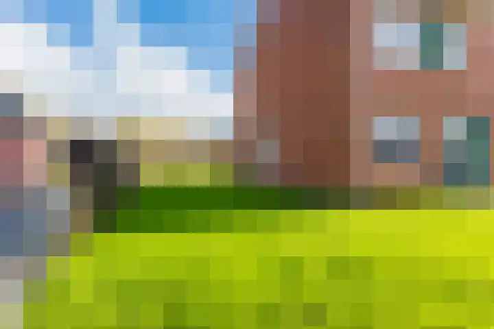 De Vlecke 70 Gorredijk thumbnail 11