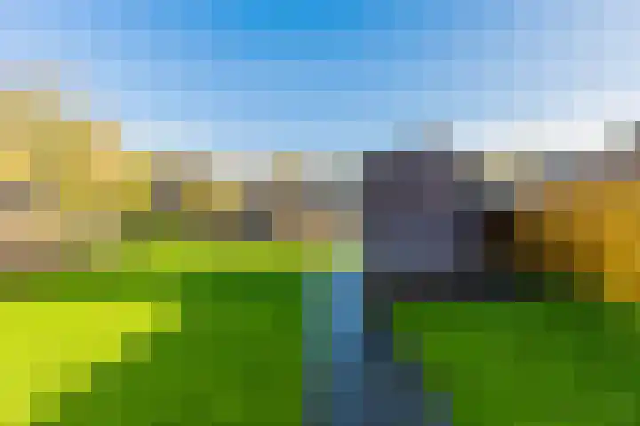 De Vlecke 70 Gorredijk thumbnail 12