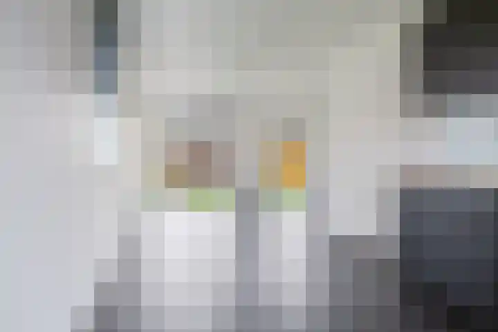 De Vlecke 70 Gorredijk thumbnail 17