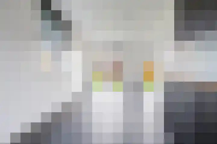 De Vlecke 70 Gorredijk thumbnail 18