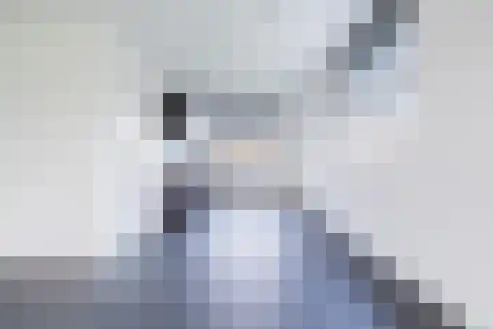 De Vlecke 70 Gorredijk thumbnail 25