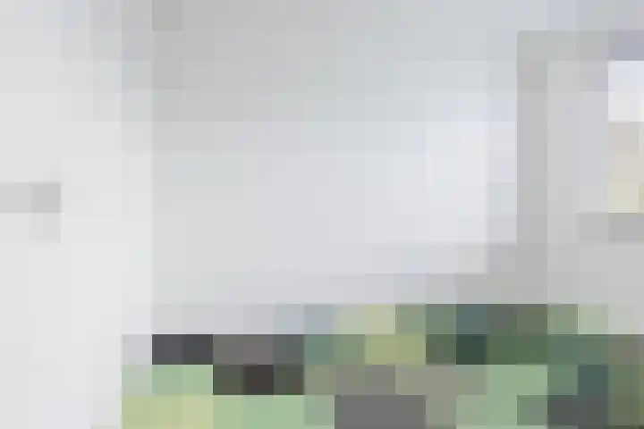 De Vlecke 70 Gorredijk thumbnail 33