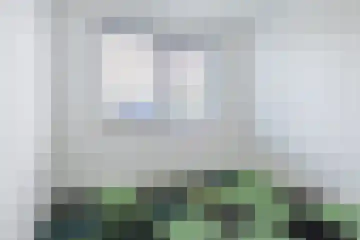 De Vlecke 70 Gorredijk thumbnail 34