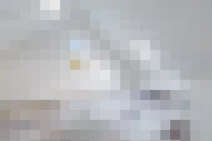 De Vlecke 70 Gorredijk thumbnail 36