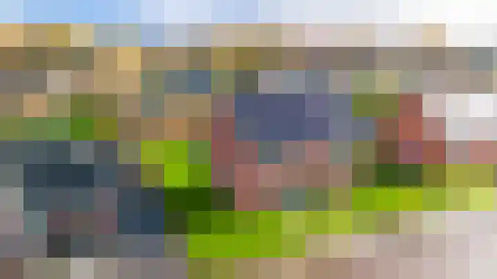 De Vlecke 70 Gorredijk thumbnail 9
