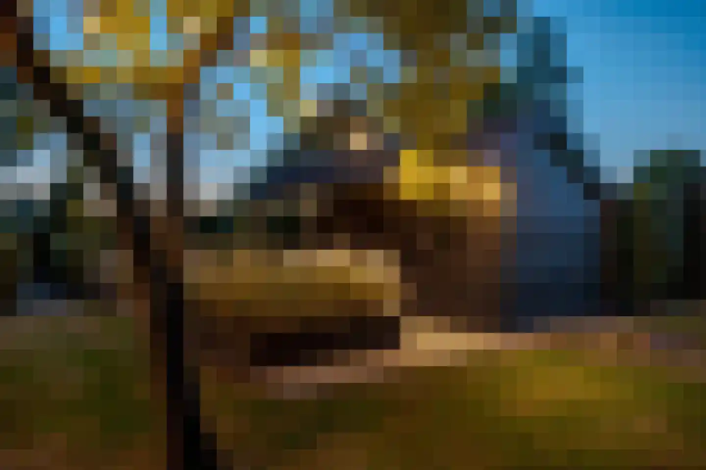 De Vledders 4 Eursinge thumbnail 15