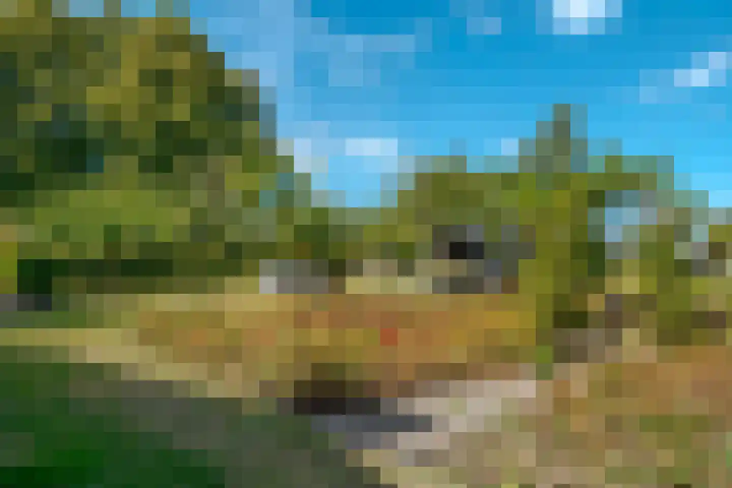 De Vledders 4 Eursinge foto 2