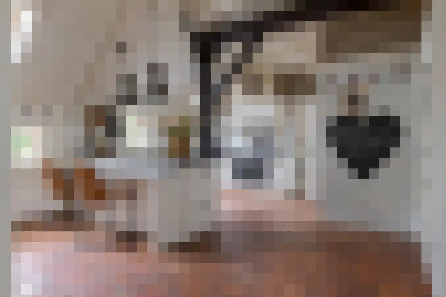De Vledders 4 Eursinge thumbnail 21
