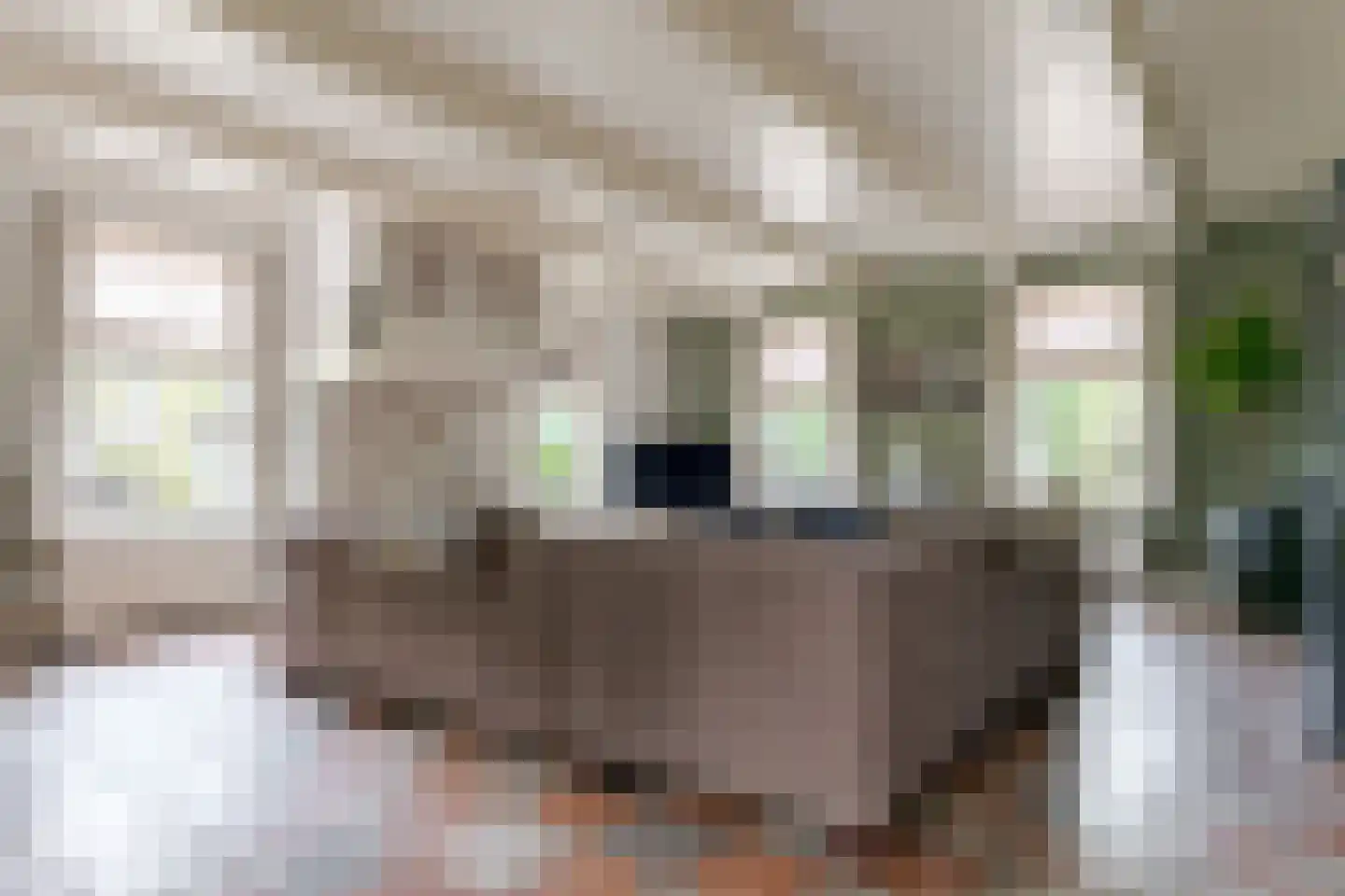 De Vledders 4 Eursinge thumbnail 22