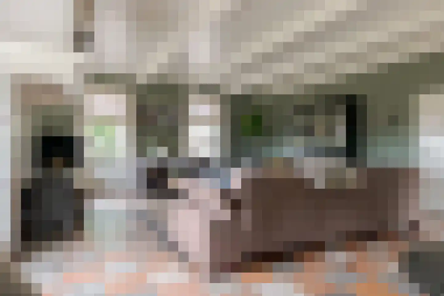 De Vledders 4 Eursinge thumbnail 24