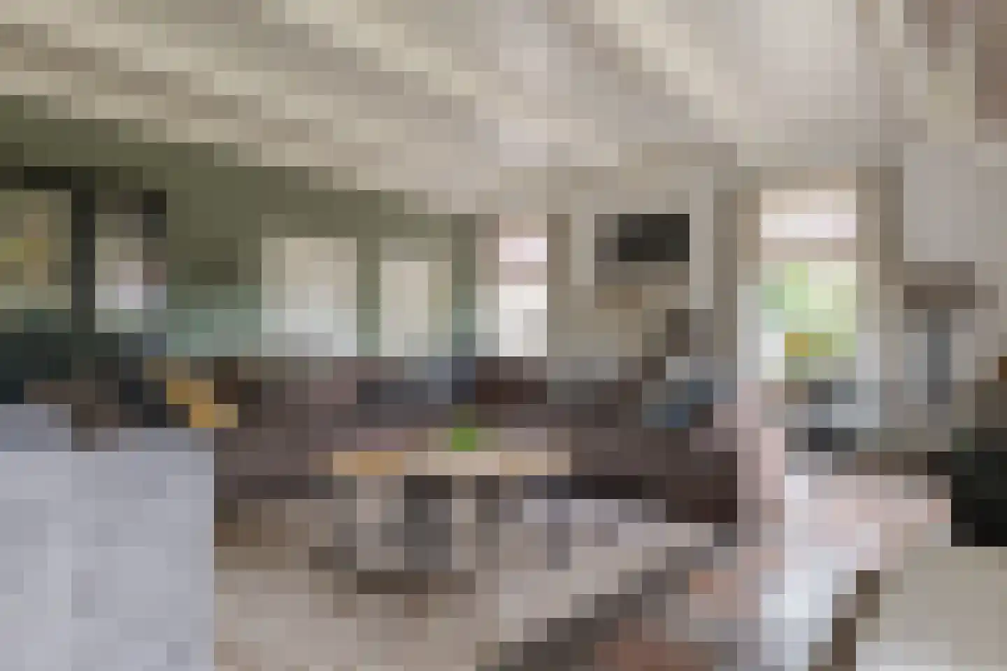 De Vledders 4 Eursinge thumbnail 25