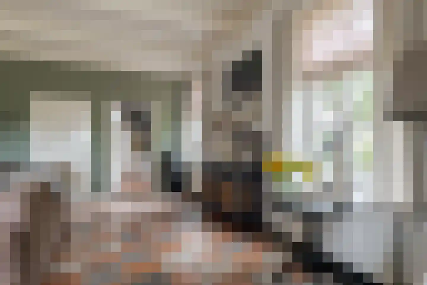 De Vledders 4 Eursinge thumbnail 26