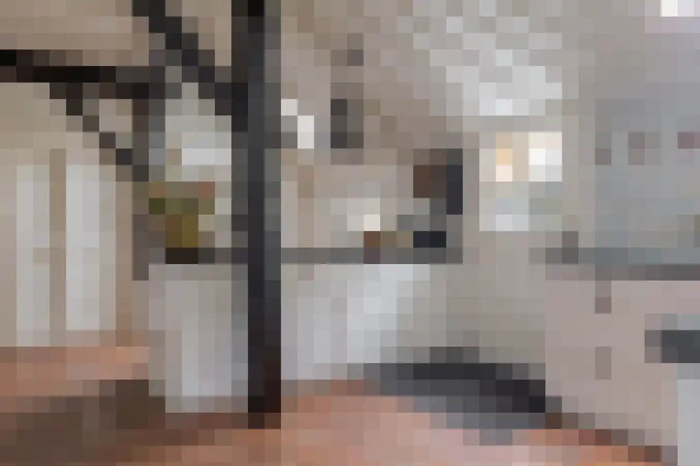 De Vledders 4 Eursinge thumbnail 27