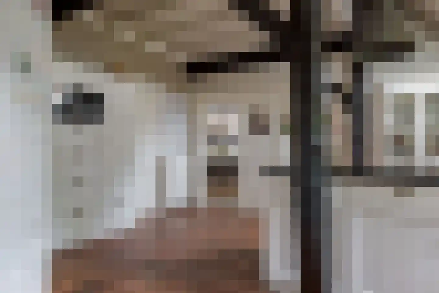 De Vledders 4 Eursinge thumbnail 31