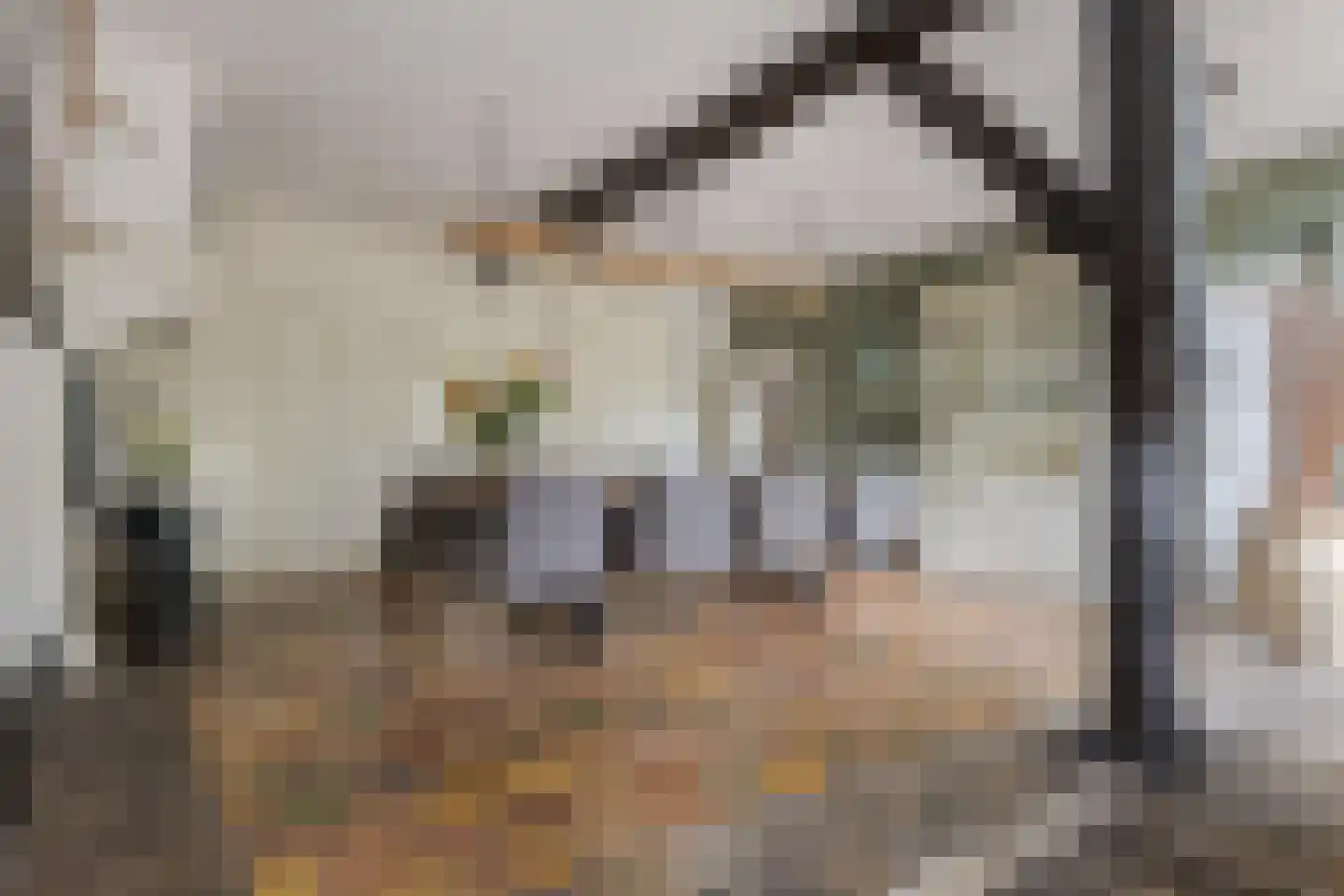 De Vledders 4 Eursinge thumbnail 33