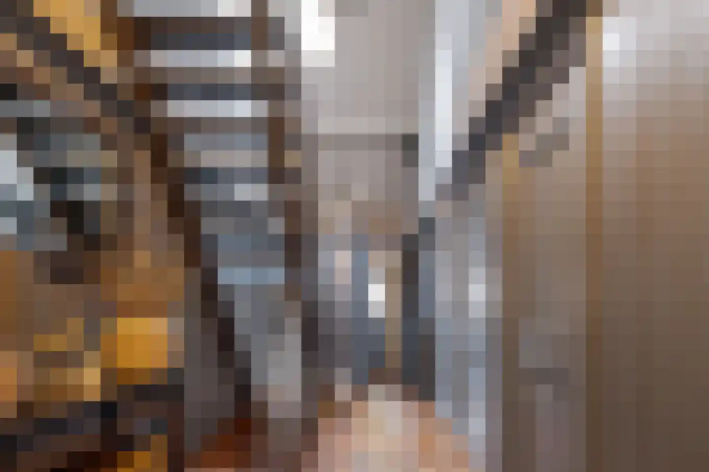 De Vledders 4 Eursinge thumbnail 38