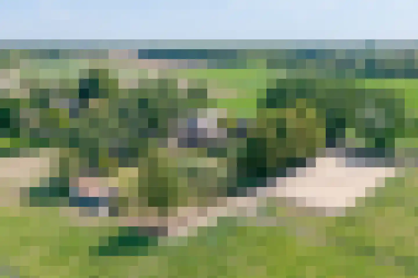 De Vledders 4 Eursinge thumbnail 4