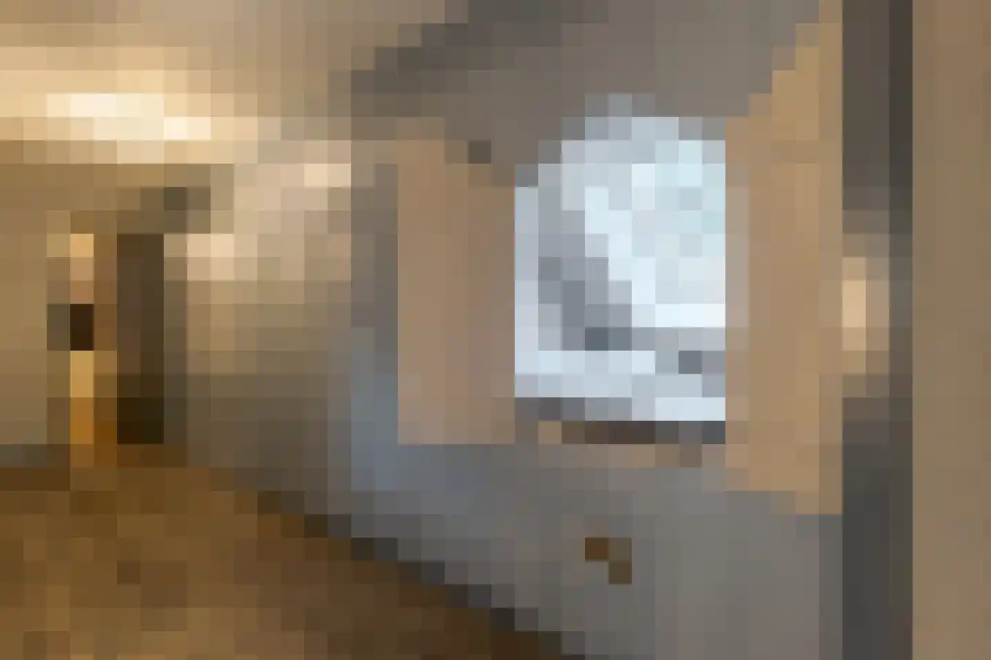 De Vledders 4 Eursinge thumbnail 42