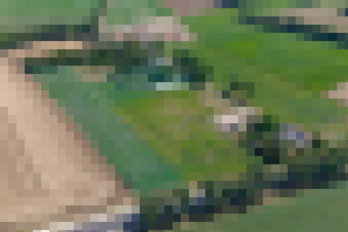 De Vledders 4 Eursinge thumbnail 5