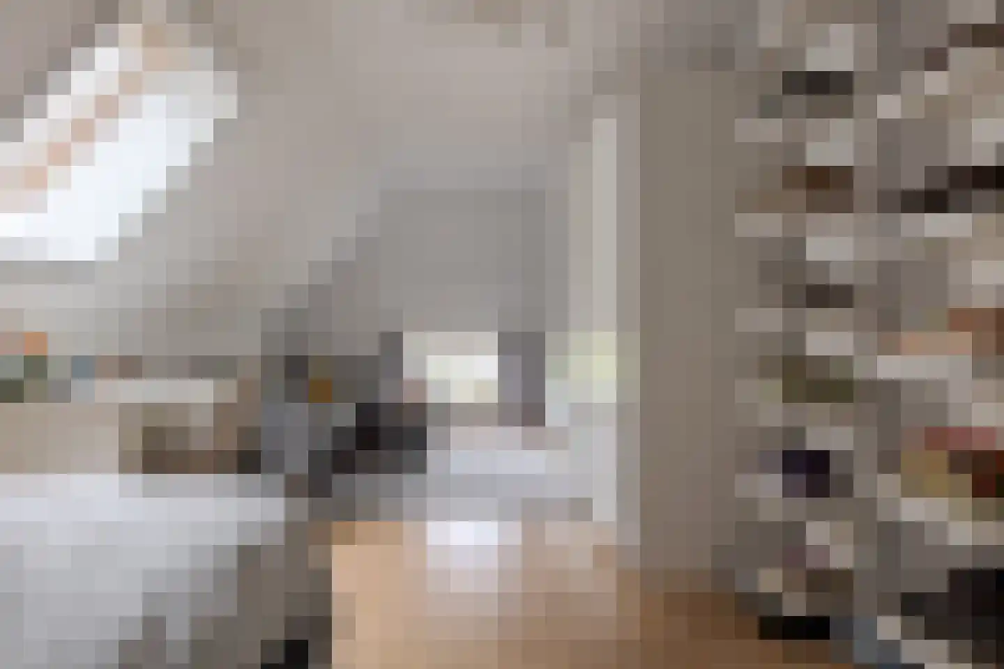 De Vledders 4 Eursinge thumbnail 50