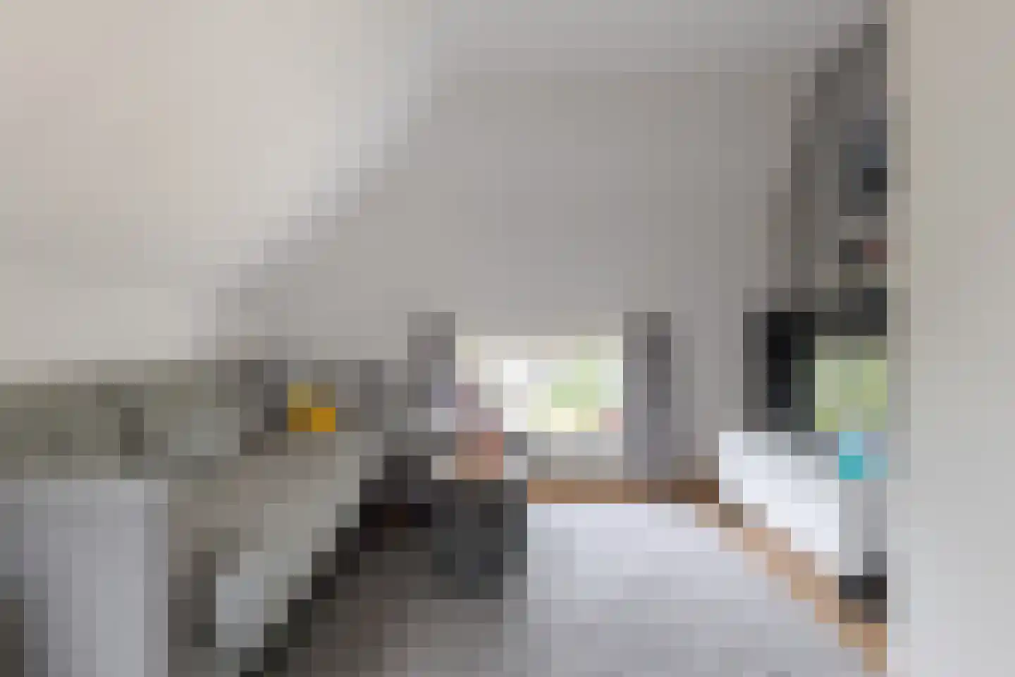 De Vledders 4 Eursinge thumbnail 51