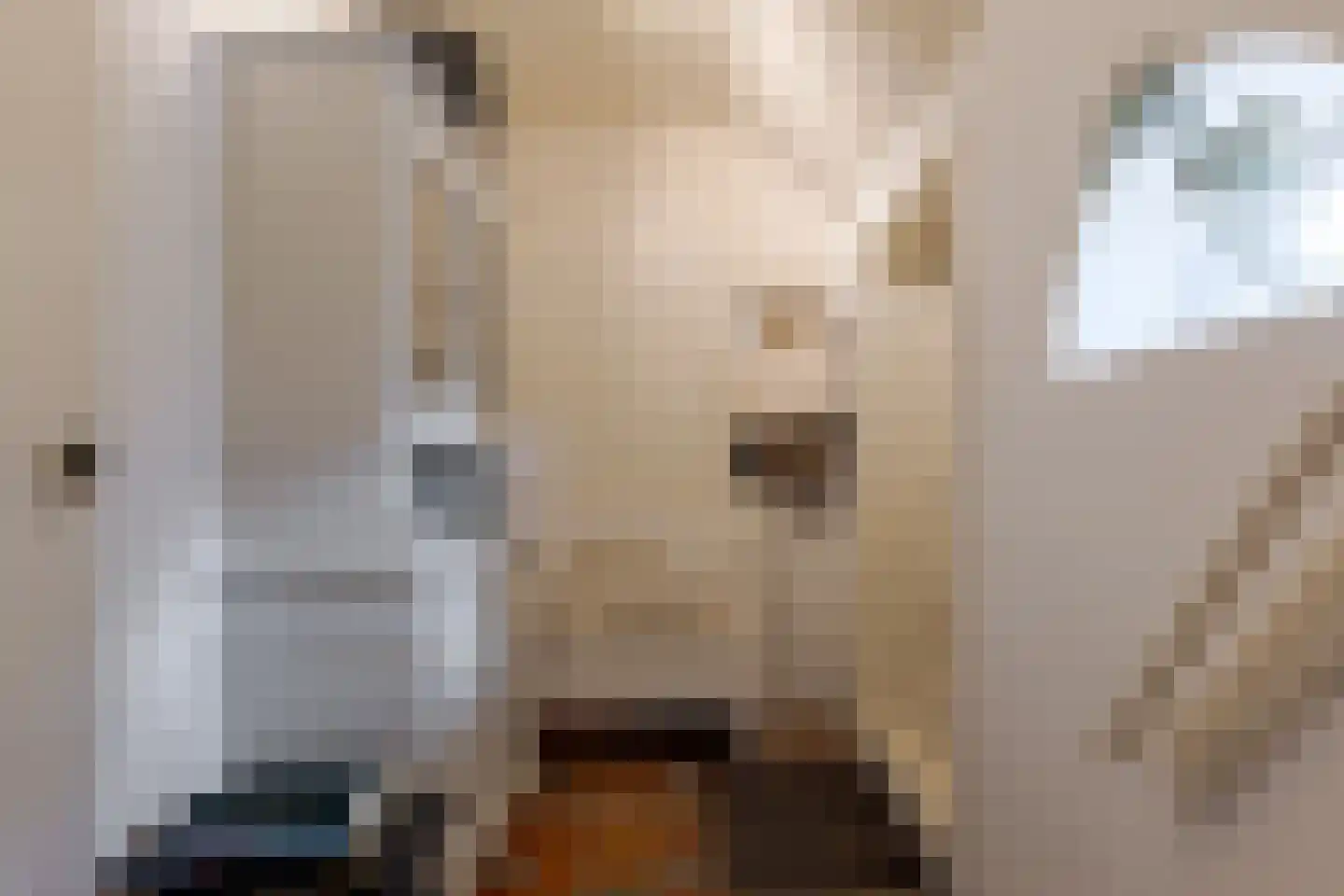 De Vledders 4 Eursinge thumbnail 56