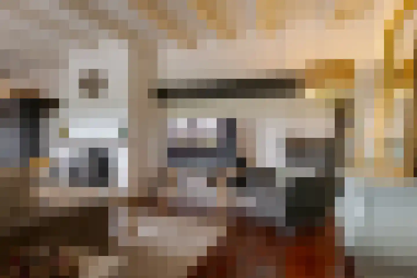 De Vledders 4 Eursinge thumbnail 59