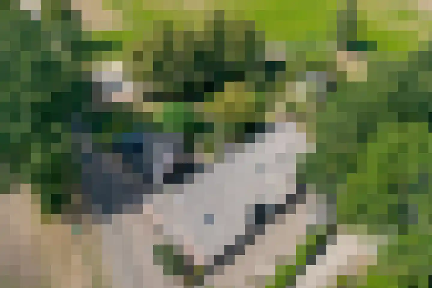 De Vledders 4 Eursinge thumbnail 6
