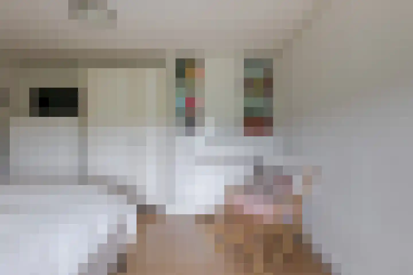 De Vledders 4 Eursinge thumbnail 69