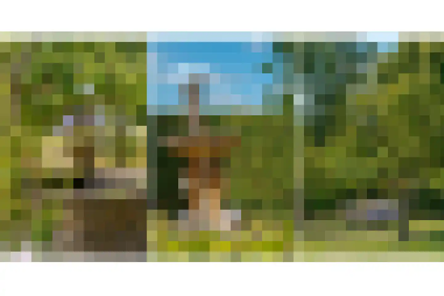 De Vledders 4 Eursinge thumbnail 75