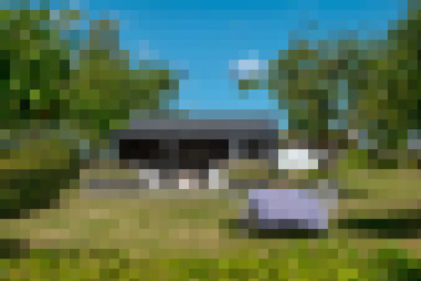 De Vledders 4 Eursinge thumbnail 76