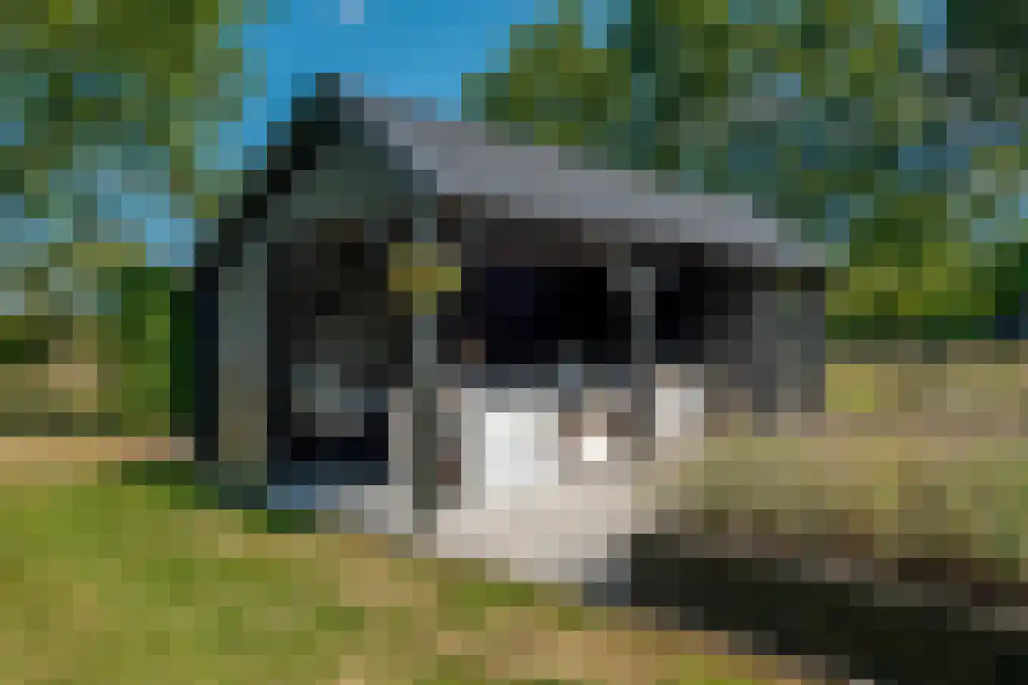 De Vledders 4 Eursinge thumbnail 77