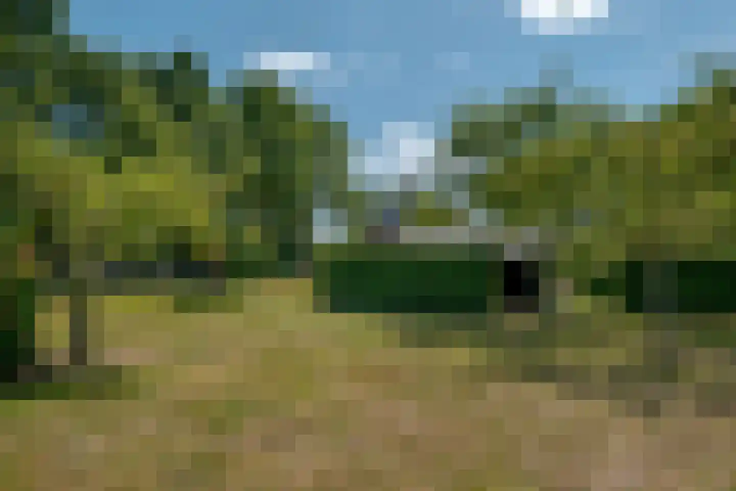 De Vledders 4 Eursinge thumbnail 79