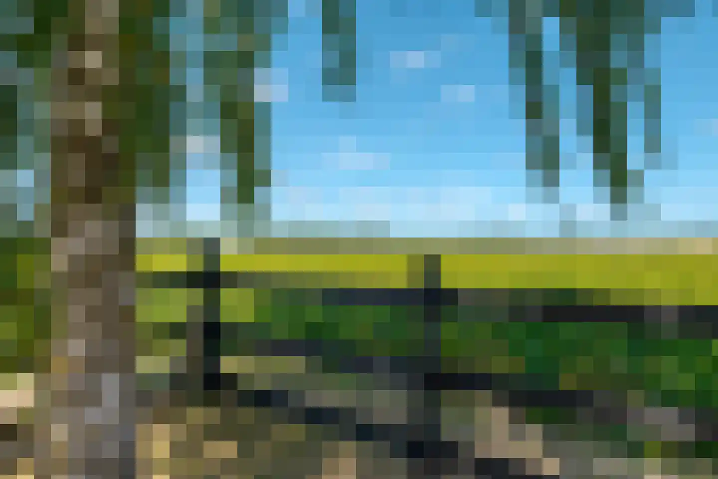 De Vledders 4 Eursinge thumbnail 81