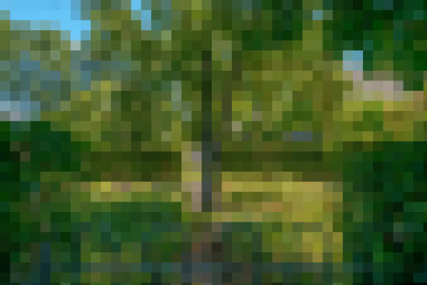 De Vledders 4 Eursinge thumbnail 86