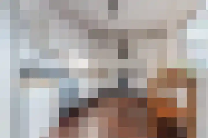 De Vleeshouwer 1 Veldhoven thumbnail 13