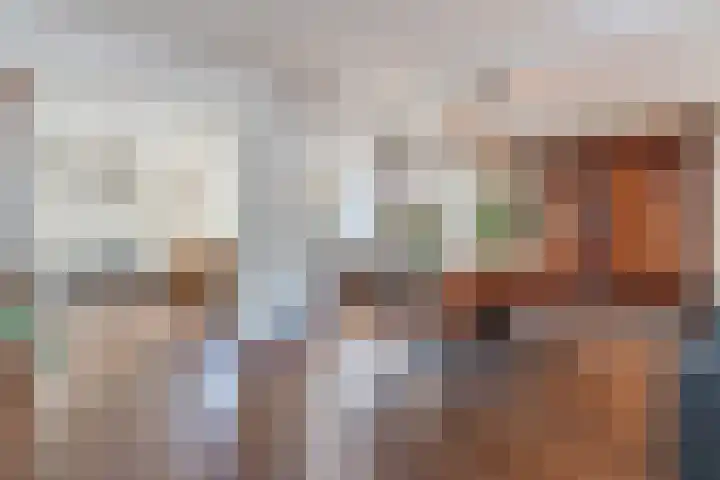 De Vleeshouwer 1 Veldhoven thumbnail 9