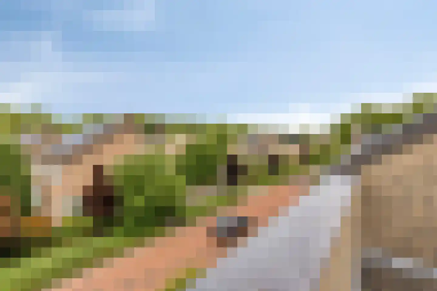 De Vleeshouwer 3 Veldhoven thumbnail 30