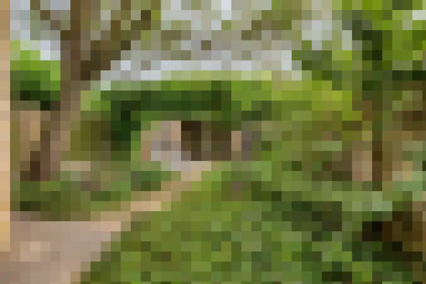 De Vleeshouwer 3 Veldhoven thumbnail 31
