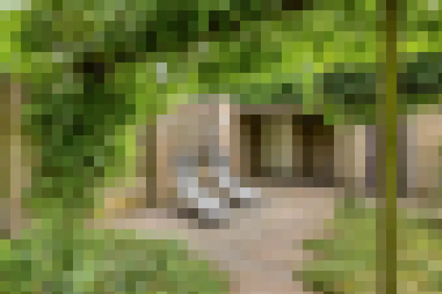De Vleeshouwer 3 Veldhoven thumbnail 32