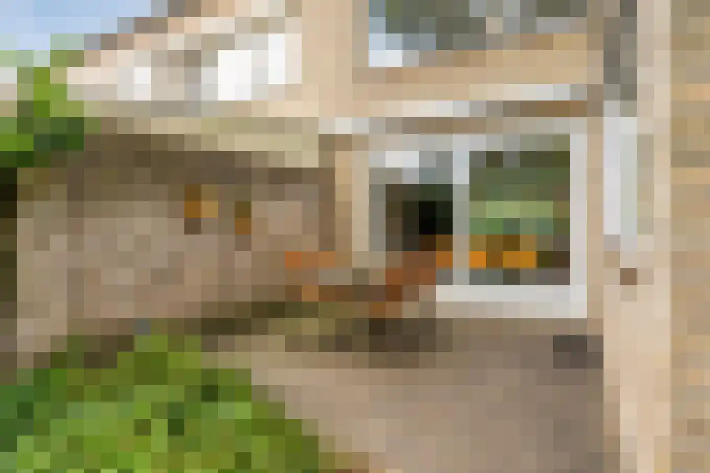 De Vleeshouwer 3 Veldhoven thumbnail 34